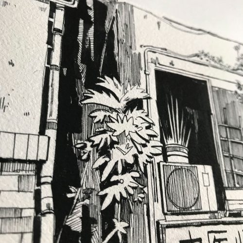 illustration traditionnelle