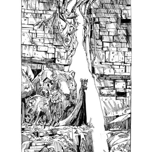 encre dessin-illustration